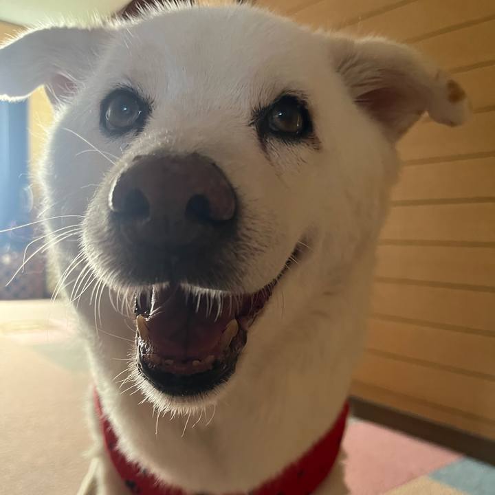 A3f28f48 7b14 461c a79d b2eef92451f8 1758582460433