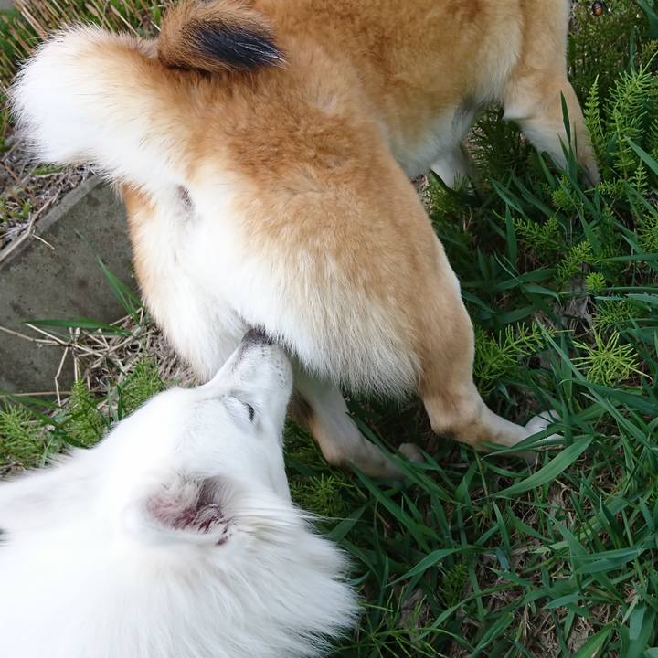 A3f2a4e1 a7ba 4b82 9013 7e2d962e553c 1524967767403