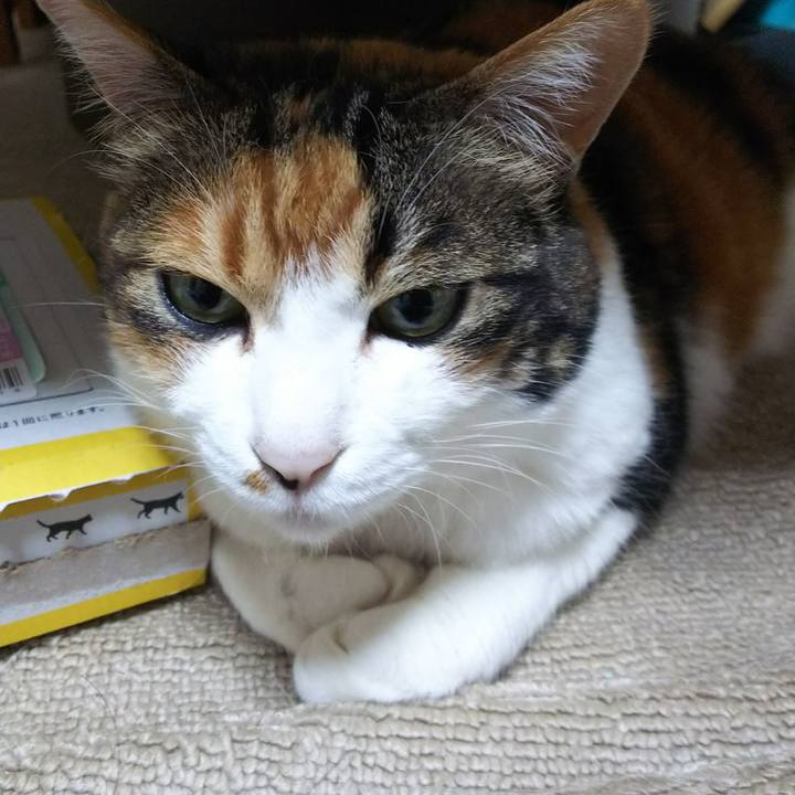 A3f2ba81 a80a 4c1a b385 8424157e9422 1527540377389