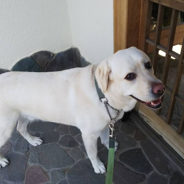 A3f2c244 249c 4bd0 b300 c75f4f5c936e 1524362871124