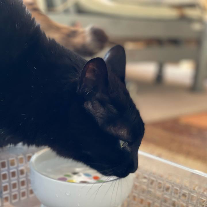 A3f2cd60 d9dc 4ed1 868b 4a3d5a1ff864 1654307931149