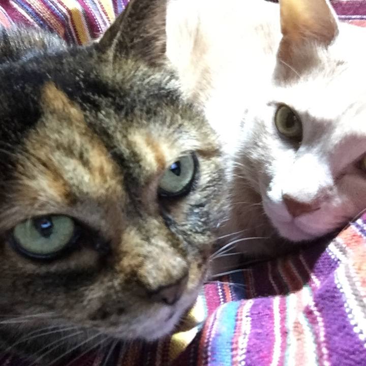 A3f2d3be 0020 41e3 8e43 35a0729f0901 1544708524319