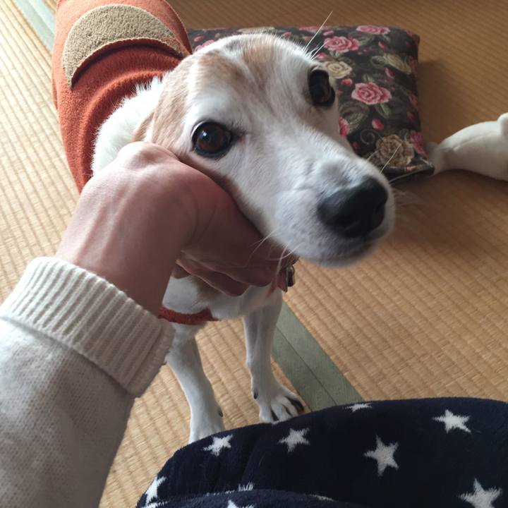 A3f326c6 ce37 4406 aa2d 3bf436dcdad1 1516837123747