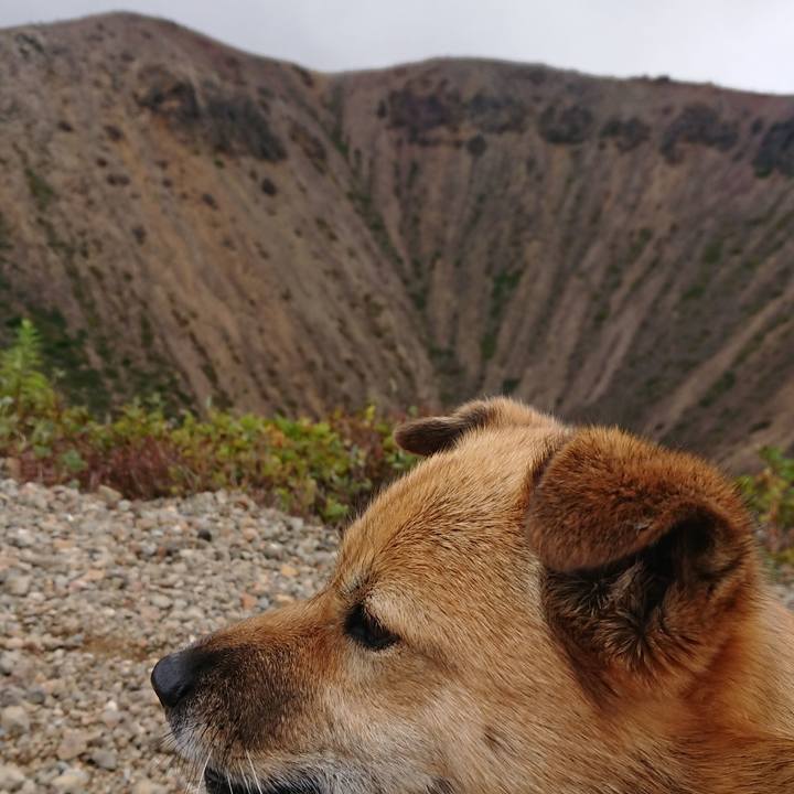 A3f327e1 6a32 448c a028 260d71b9f9b9 1601212936214