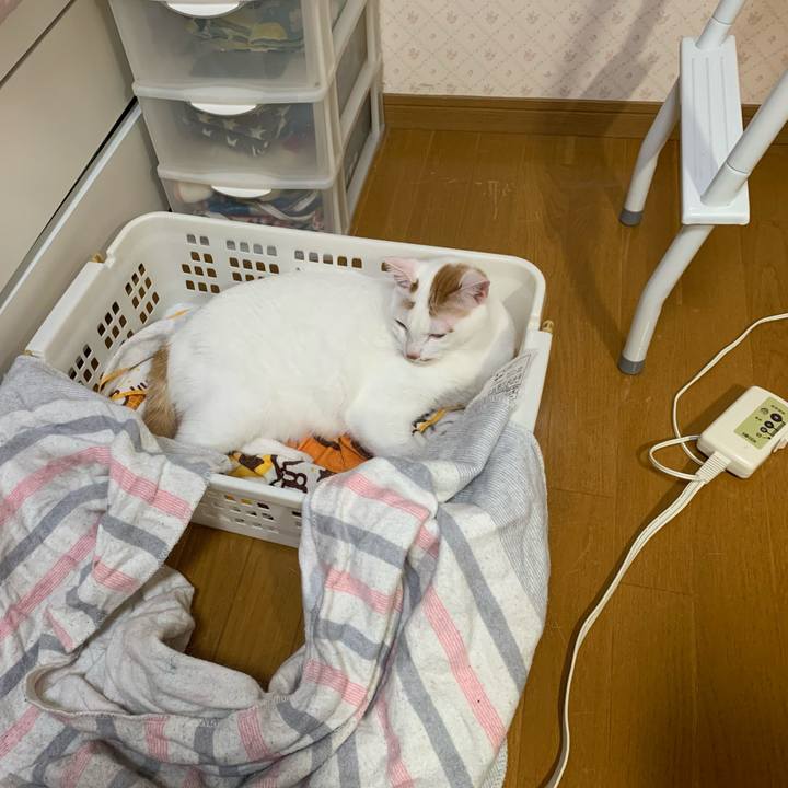 A3f32a8b 83b1 4382 9839 81fc6e6119e3 1610103725194