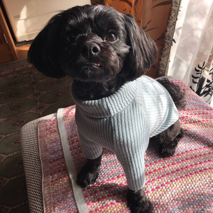 A3f35a66 8a3c 4779 9376 1d3575aeffd4 1545885060565