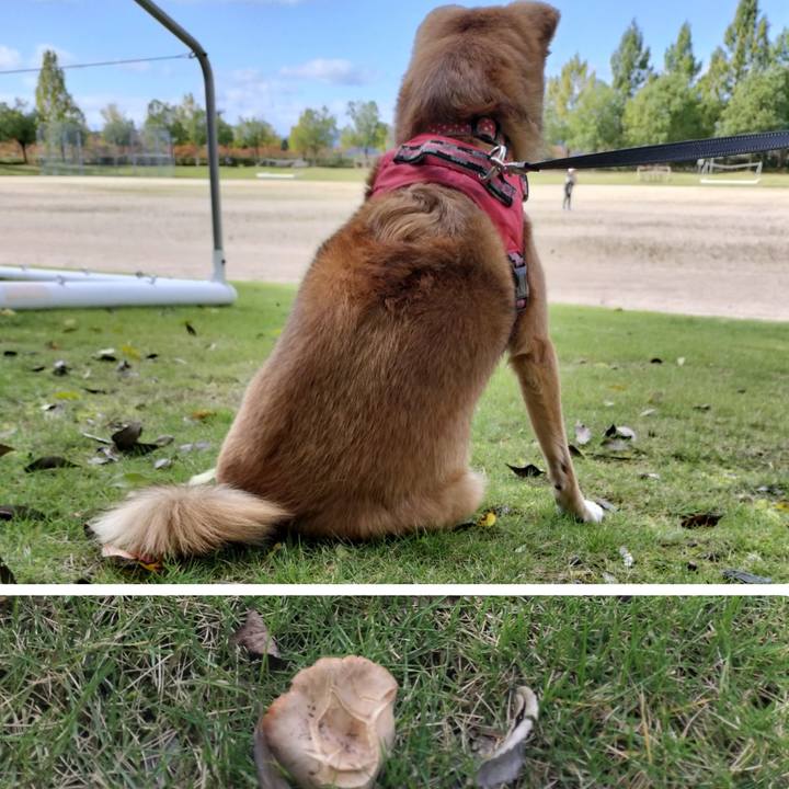 A3f39587 2831 42b3 a28e 36e3e3ed3c78 1729421925289