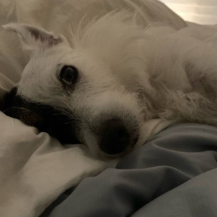 A3f39a44 d7b3 482a a515 f578c1a5c84a 1594650549051