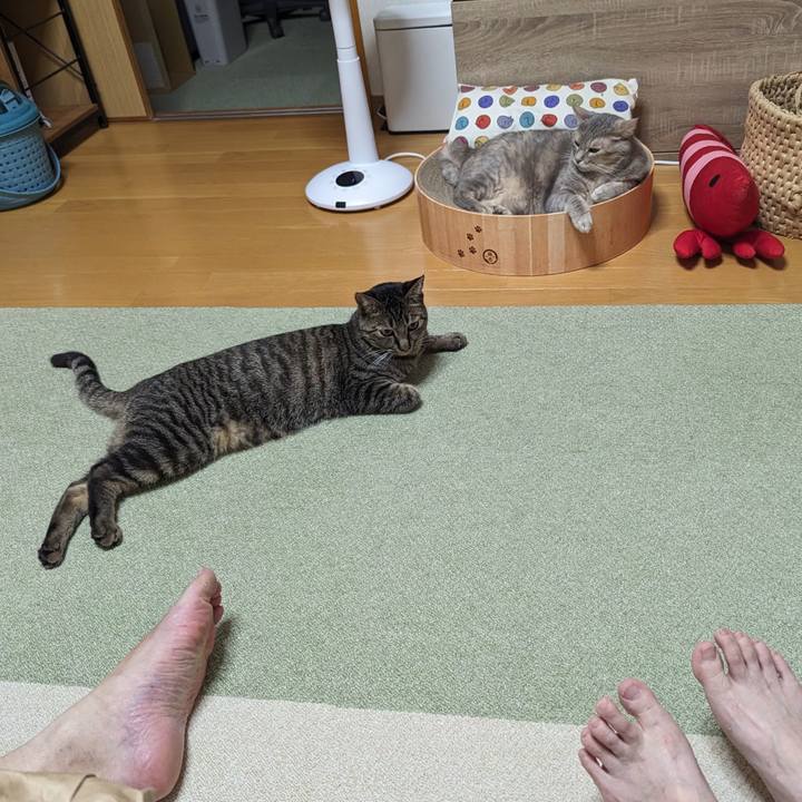 A3f3ca43 7eba 4019 8b4e ceb683d6879b 1717741101711