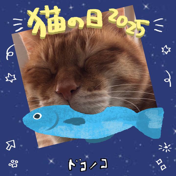 A3f3cfca 91b5 4e4b beed 1fb264de64e8 1740197417872