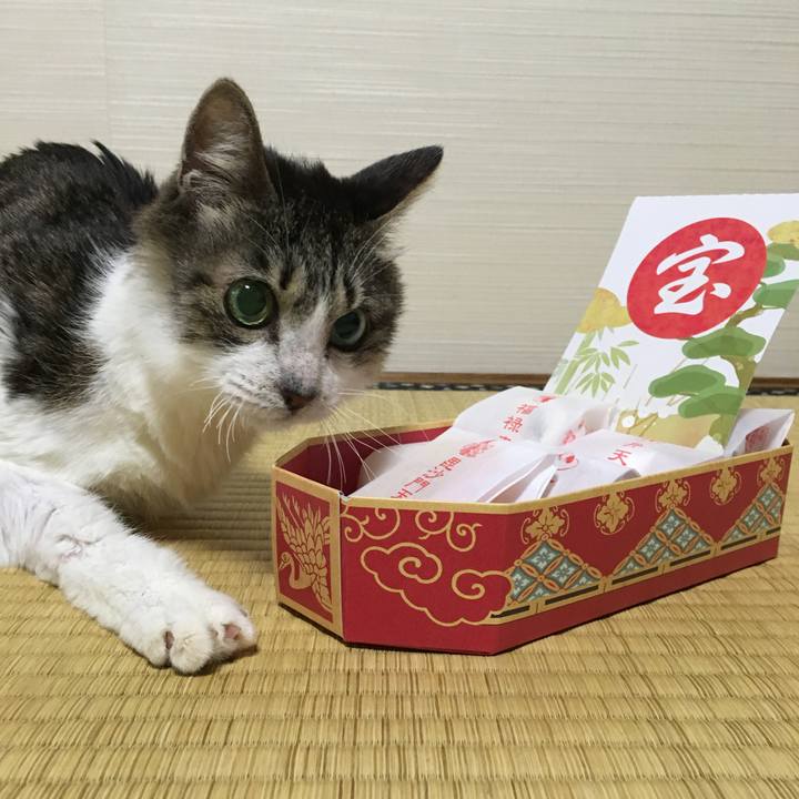 A3f3d000 d480 4ef0 9903 ce14acc22972 1735686016607