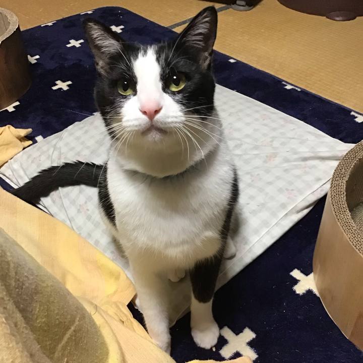 A3f42580 02cf 41a5 b5ba 0075fff83ad2 1716720567144