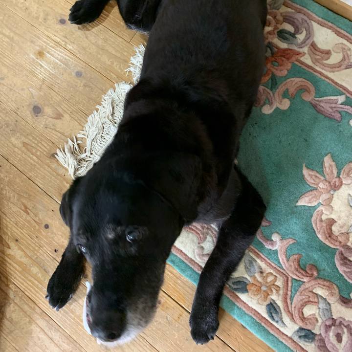 A3f42caf a628 4004 a846 8f15954a61c5 1644541377570