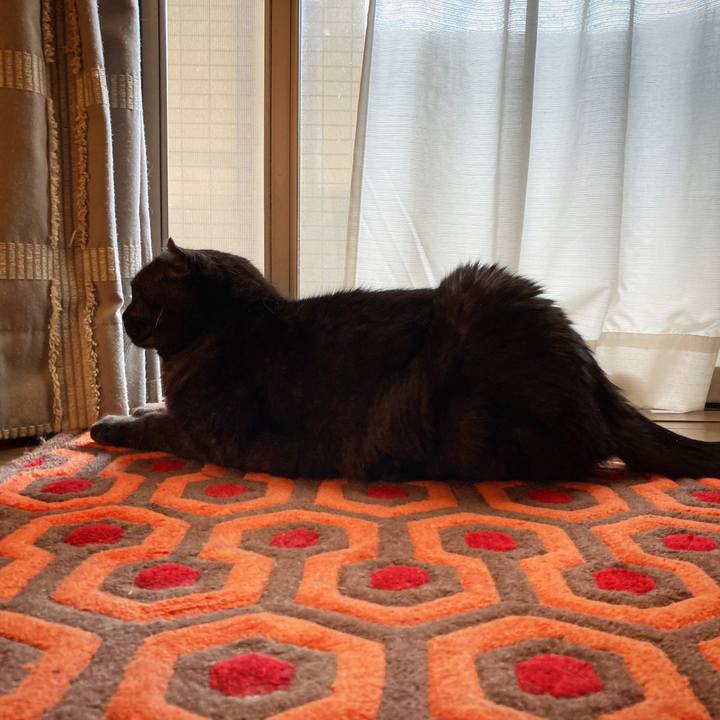 A3f44663 c20a 4e4a a8f4 af40a1fd17b9 1592907368429