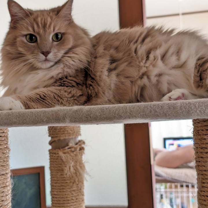 A3f45422 85a2 463c 9b7c d45e8c9b2798 1715230595774