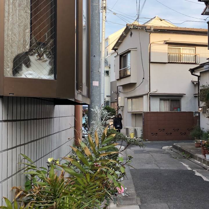 A3f46288 4050 4f70 9537 5f1a4f750662 1551088536969