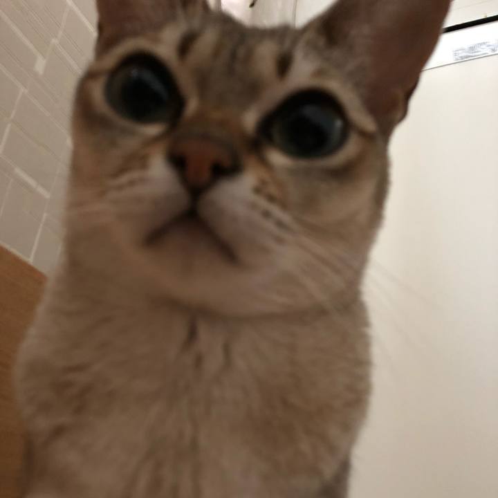 A3f4a2e9 5422 4d60 93fd 667ecdc49f95 1541893755868