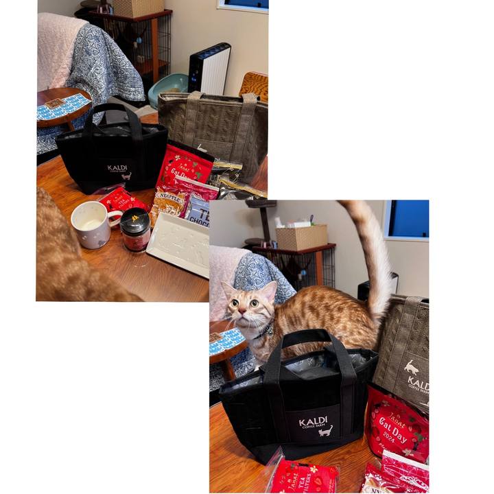 A3f4aa64 7633 4cef 8f34 48e8ad83a26a 1708675854251