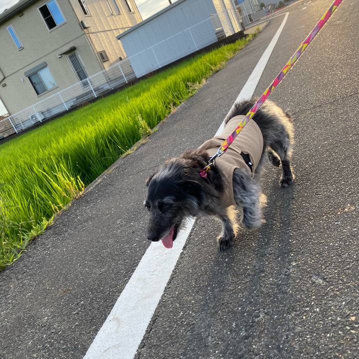 A3f4fc7b 8ca9 41b9 a5fb bc254e1699db 1630538275641