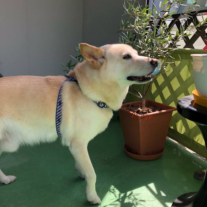 A3f56a40 5752 40e0 9e1a c6dd234bc4d8 1557276475912