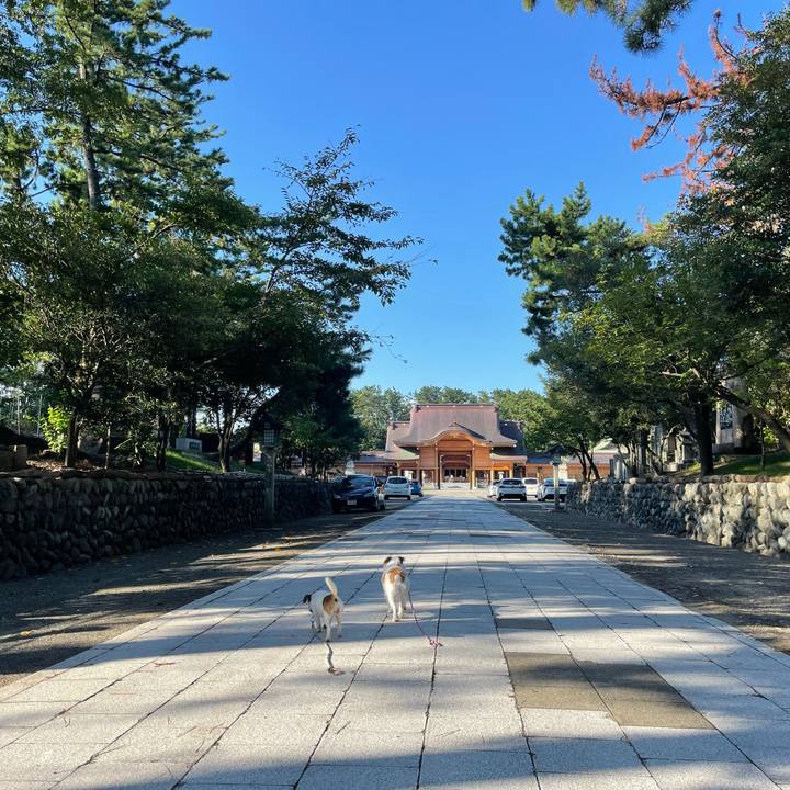 A3f5804b bedc 4e6a beb7 015b2cb047ba 1631402173408