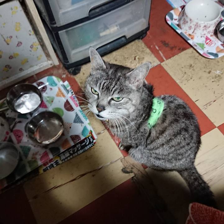 A3f5a2df e3b8 45c3 aaaa 6831e94bd167 1587499212082