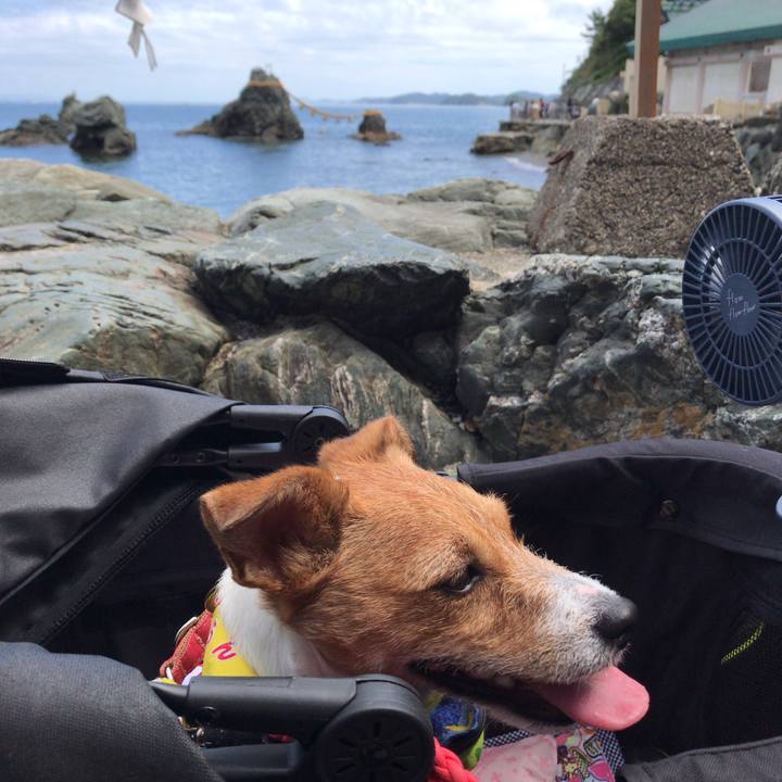 A3f5f339 b07e 45f5 b879 13ffadd8135f 1567910017964