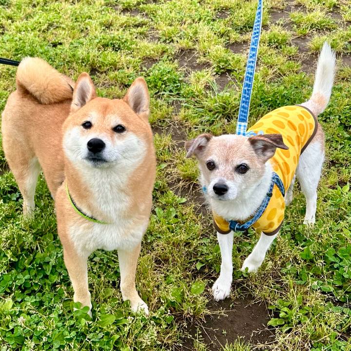 A3f64e7c 6a19 4420 8de8 271d92a20e4a 1715642706700