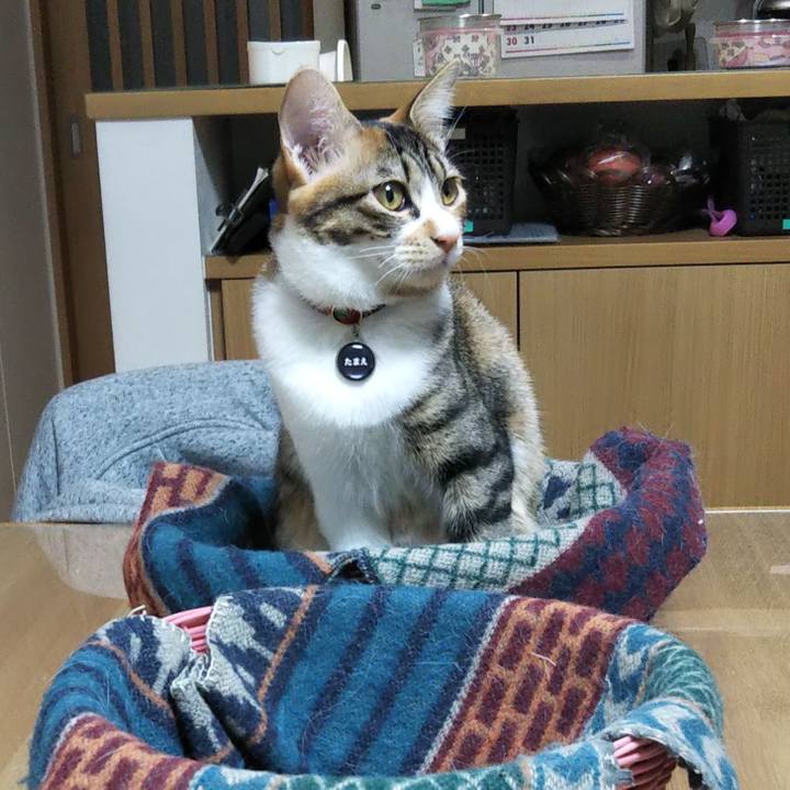 A3f65b82 9762 4b5a 937b 00166828e8ef 1640036391399