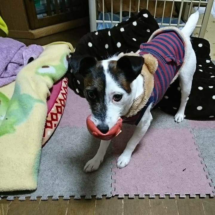 A3f65dfa fc01 447c b390 e4f349d850e5 1515673603679