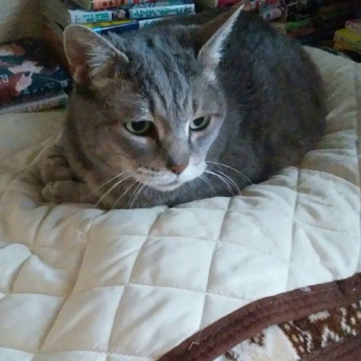 A3f7136e bb91 4964 bb31 41b4eb68a41b 1588547139837