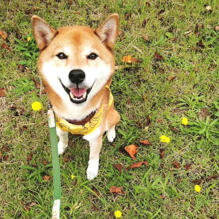 A3f71536 296f 4640 8d7f 21469dd4019e 1663199127217