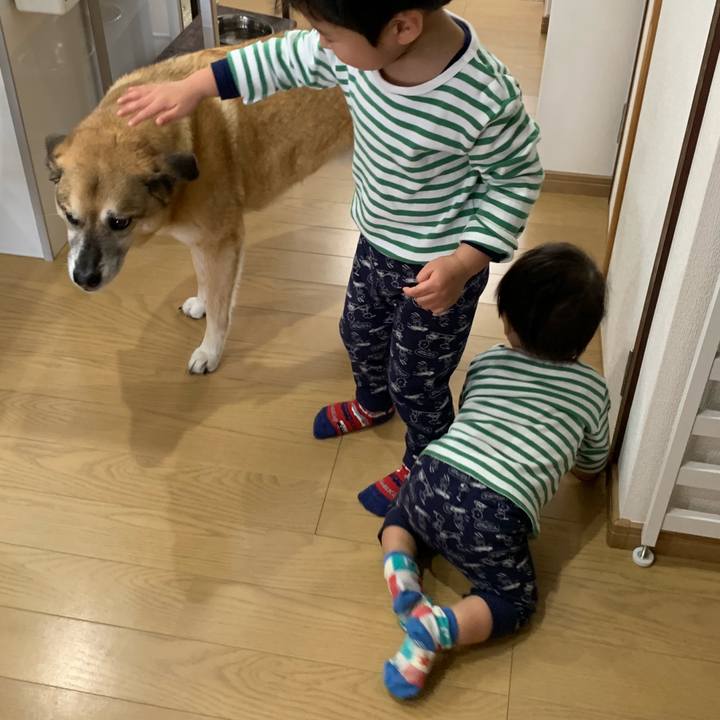 A3f73518 f4a6 46c3 8d61 77aec5d4b5b9 1553681527810