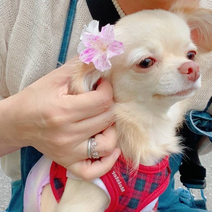 A3f76824 f97a 437a 8ad3 dd97defdb6d0 1624877912924