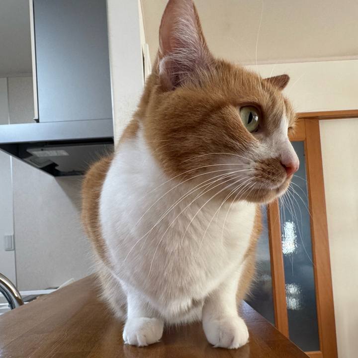 A3f77188 2da7 48f5 8e3d 254895848964 1768183654244