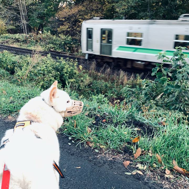 A3f775a1 2563 488c 9855 9b1f0e632d67 1635027931293