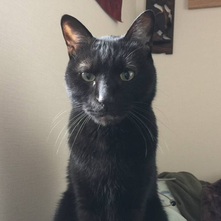 A3f79c19 4344 4d80 831b 9f31f0beea2d 1587718780690