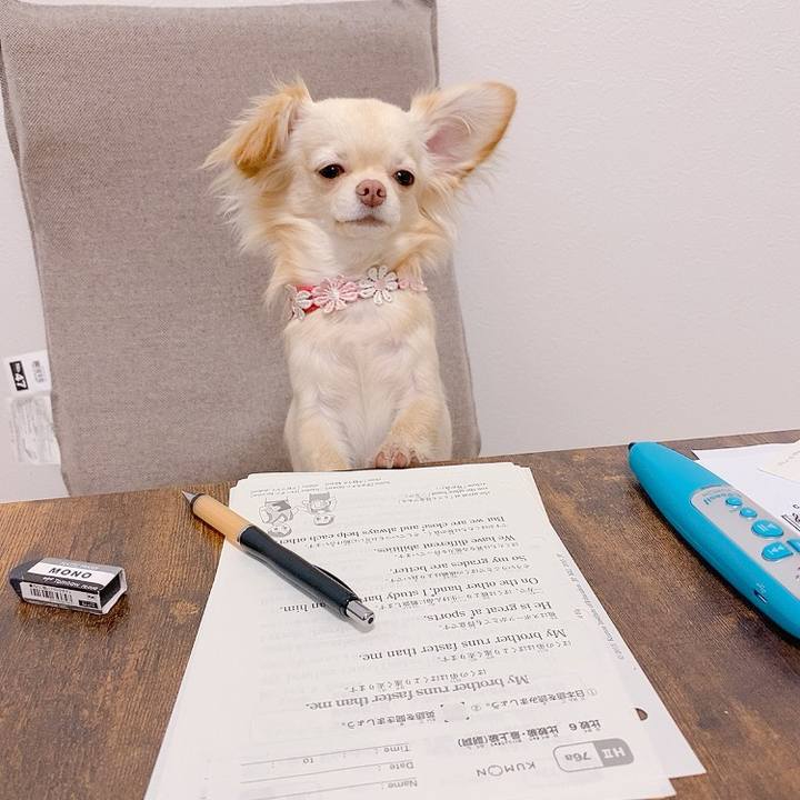 A3f7ab70 6f6a 4c98 9ffc 60ec632e8906 1616123144990