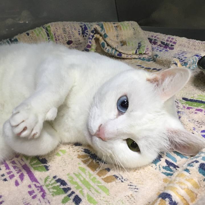 A3f7b42e c9b8 4ec4 adac 3c0a9668ef10 1578480809328