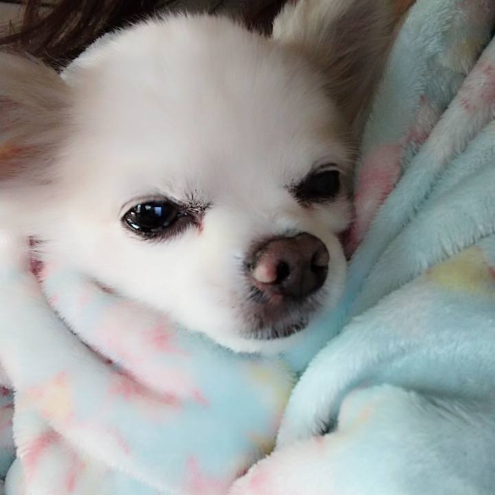 A3f7c8e8 3dc1 44e5 a74f 1272f1ba4891 1613874791898