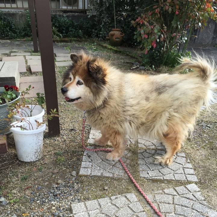 A3f7e58c 6b80 405e ba84 bceb1913ff6c 1562140020103