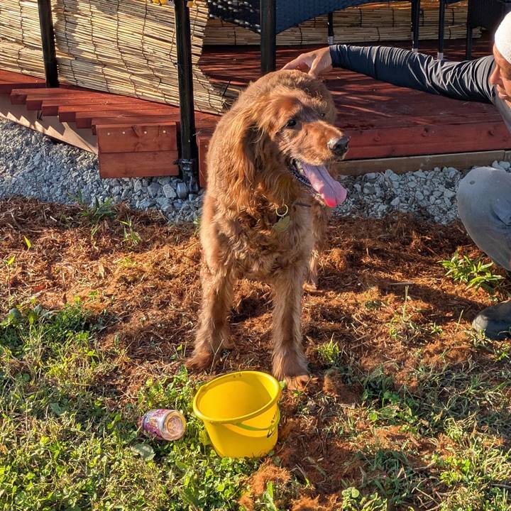 A3f7e600 3f04 4318 8c45 c2e4100ede08 1759215646727