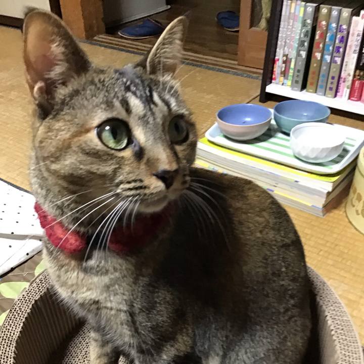 A3f7e7e0 8ada 49c6 943f ac24409e8bbe 1602926864694