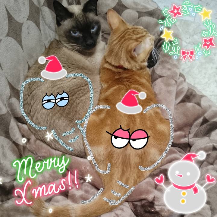 A3f7f075 09b7 4777 937b c2bb0765680b 1607895051580