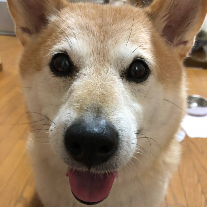 A3f7f20d fb87 42a4 b7c5 6958b1f5ed21 1538821878968