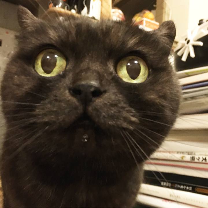 A3f827fc 7e02 4c62 bc5c 9aedb533e4e2 1586860751954