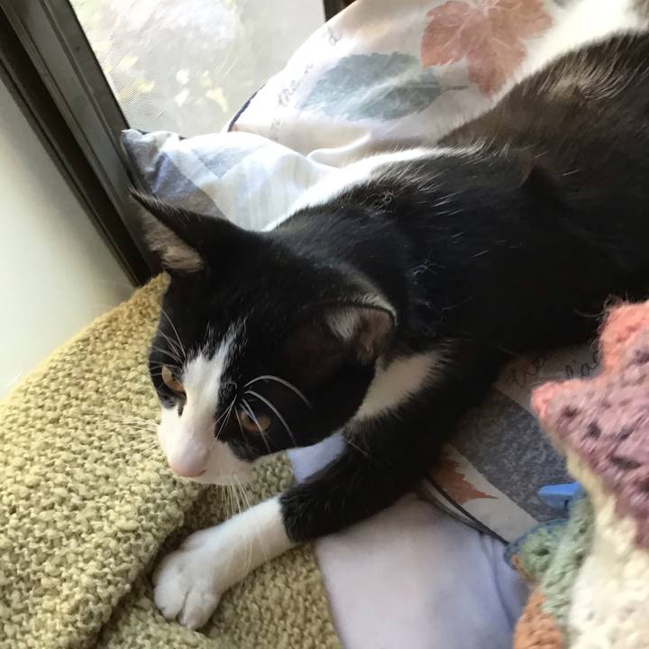 A3f8301e 2015 4b2e b3d1 6f641ce9d0d3 1636516866158