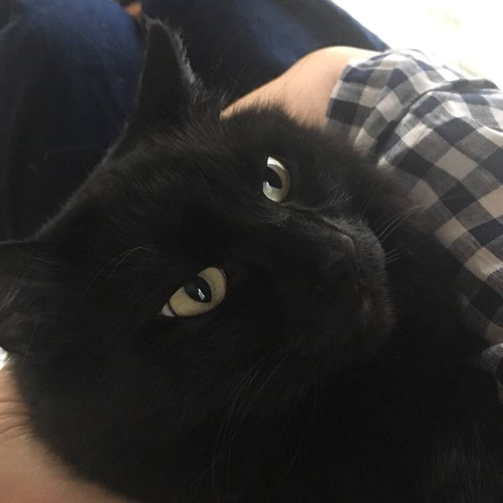 A3f83d62 7fee 481a 8077 5c104d2f59b9 1522746885565