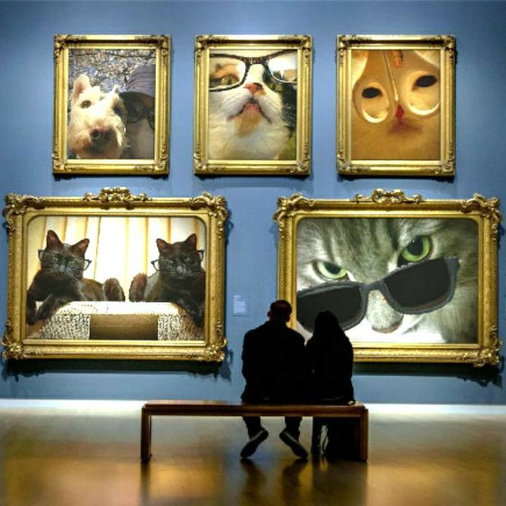 A3f85e88 ca42 4b54 acee 4e05d1e3dd06 1554368872129