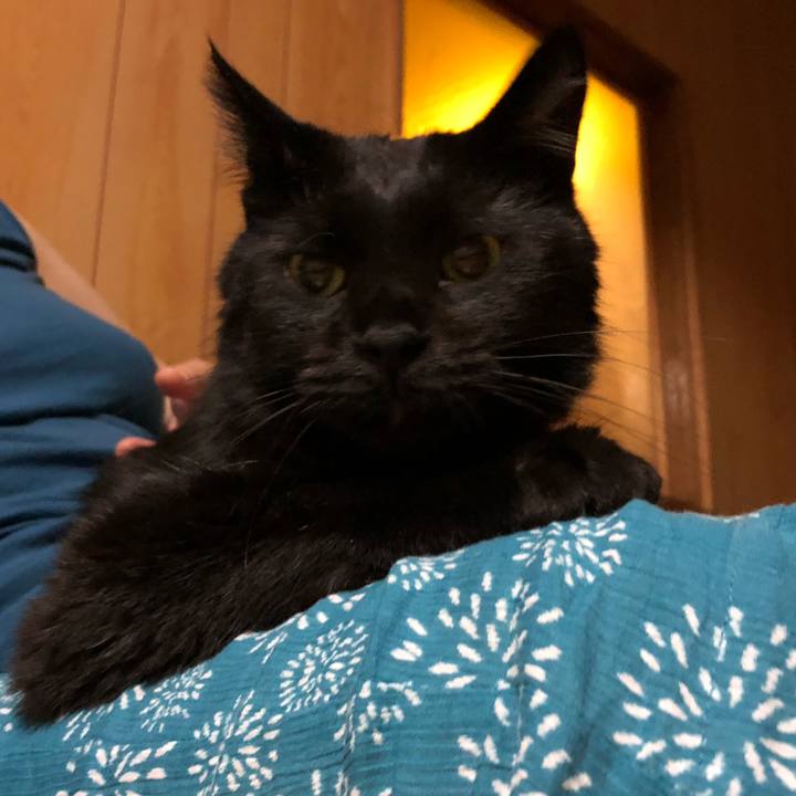 A3f86558 6844 43d8 96c0 71d069ed2cb6 1566048676313